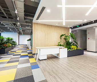 ��8ͷ�����Ψһ�ٷ���վ��Ϸ�Ƽ�-AI������_�����a�__�����ŵ�