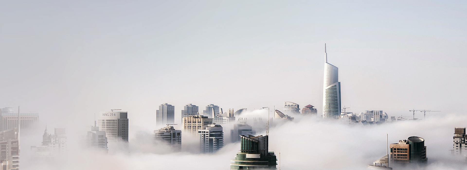 ��8ͷ�����Ψһ�ٷ���վ��Ϸ�Ƽ�-AI������_�����a�__�����ŵ�