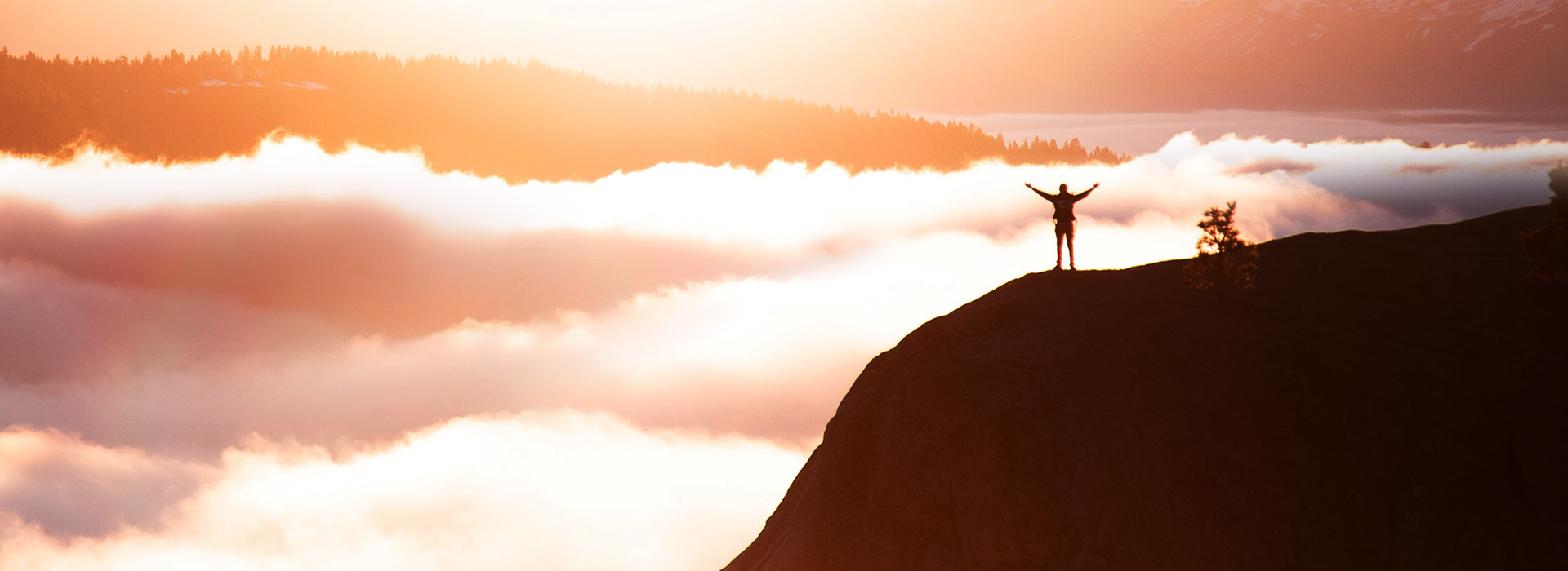 ��8ͷ�����Ψһ�ٷ���վ��Ϸ�Ƽ�-AI������_�����a�__�����ŵ�